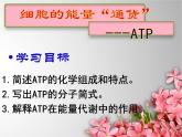 人教版 (新課標(biāo))必修1《分子與細胞》 5.2細胞的能量“通貨”—ATP 課件