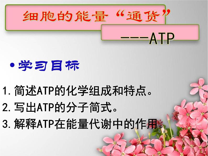 5.2细胞的能量“通货”—ATP课件2022-2023学年高一上学期生物人教版必修1第5页