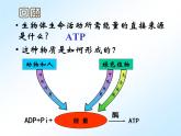 人教版 (新课标)必修1《分子与细胞》 5.3 ATP的主要来源——细胞呼吸课件