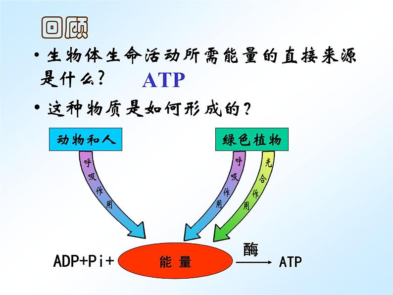 人教版 (新课标)必修1《分子与细胞》 5.3 ATP的主要来源——细胞呼吸课件01