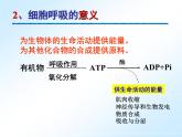人教版 (新课标)必修1《分子与细胞》 5.3 ATP的主要来源——细胞呼吸课件