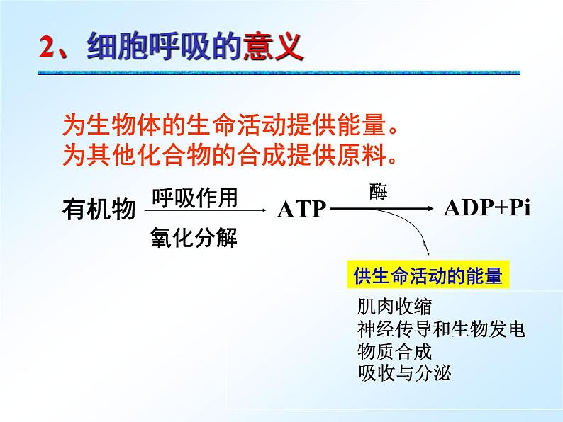 人教版 (新课标)必修1《分子与细胞》 5.3 ATP的主要来源——细胞呼吸课件04