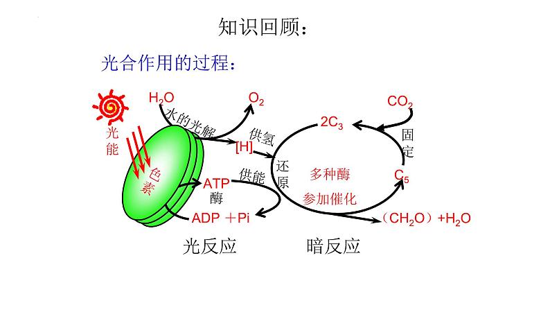 人教版 (新课标)必修1《分子与细胞》 5.4能量之源——光与光合作用 课件03