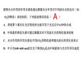 人教版 (新课标)必修1《分子与细胞》 5.4能量之源——光与光合作用 课件