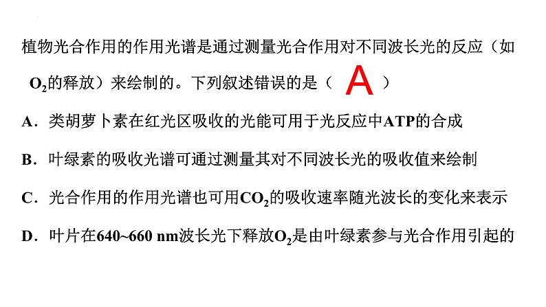 人教版 (新课标)必修1《分子与细胞》 5.4能量之源——光与光合作用 课件04