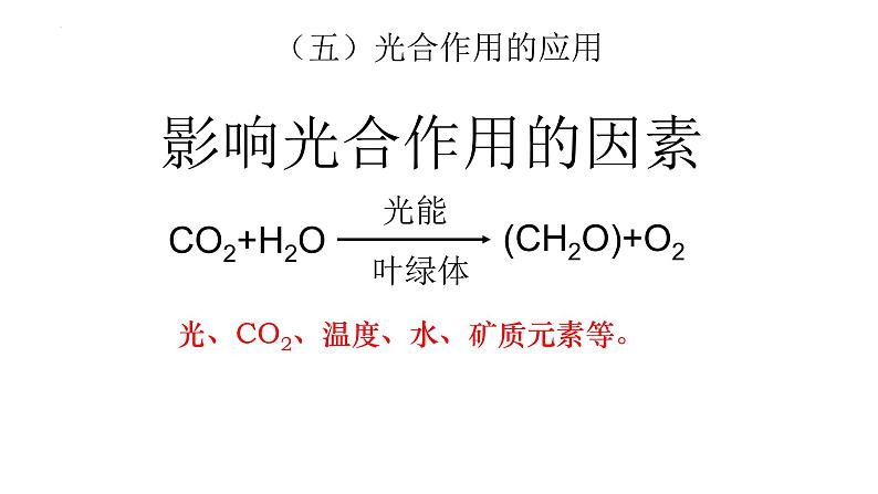 人教版 (新课标)必修1《分子与细胞》 5.4能量之源——光与光合作用 课件05