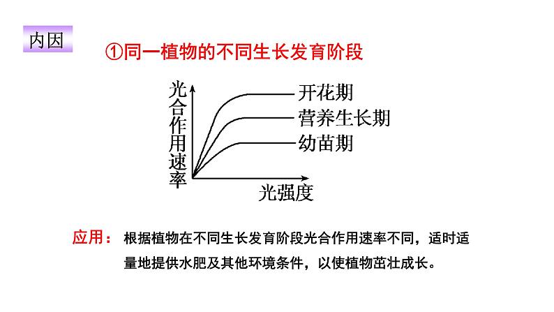 人教版 (新课标)必修1《分子与细胞》 5.4能量之源——光与光合作用 课件07