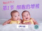 人教版 (新课标)必修1《分子与细胞》 6.1细胞的增殖课件