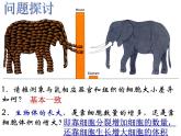 人教版 (新课标)必修1《分子与细胞》 6.1细胞的增殖课件