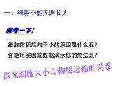 人教版 (新课标)必修1《分子与细胞》 6.1细胞的增殖课件
