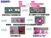 人教版 (新课标)必修1《分子与细胞》 6.1细胞的增殖课件