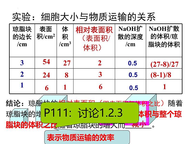 人教版 (新课标)必修1《分子与细胞》 6.1细胞的增殖课件06