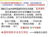 人教版 (新课标)必修1《分子与细胞》 6.2细胞的分化课件