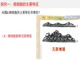 人教版 (新课标)必修1《分子与细胞》 6.4细胞的癌变课件
