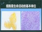细胞是生命活动的基本单位课件