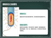细胞是生命活动的基本单位课件