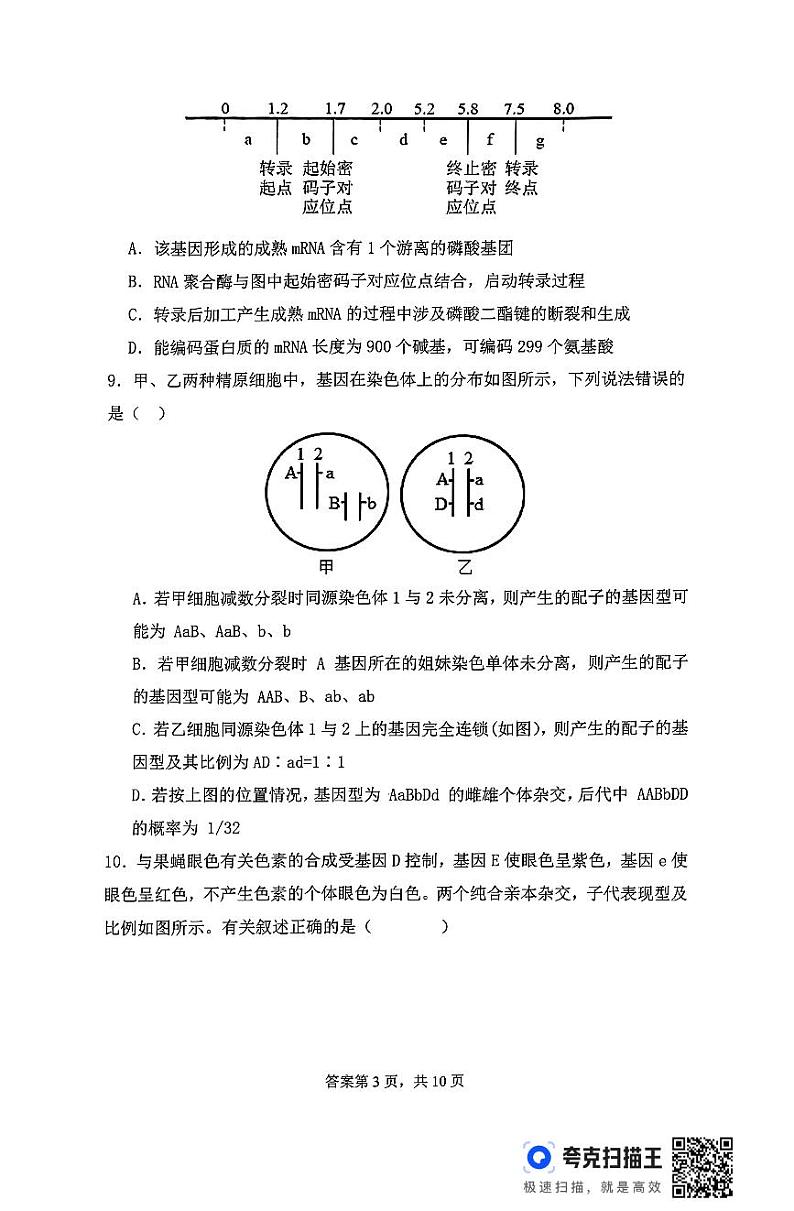 河南省信阳高级中学北湖校区2024-2025学年高二上学期开学考试生物试题03