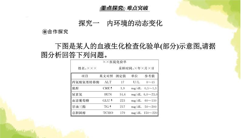 人教版高中生物选择性必修1第1章第2节内环境的稳态课件08