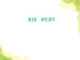 人教版高中生物选择性必修1第2章第1节神经调节的结构基础课件