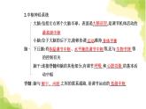 人教版高中生物选择性必修1第2章第1节神经调节的结构基础课件