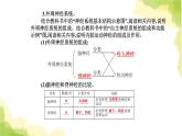 人教版高中生物选择性必修1第2章第1节神经调节的结构基础课件