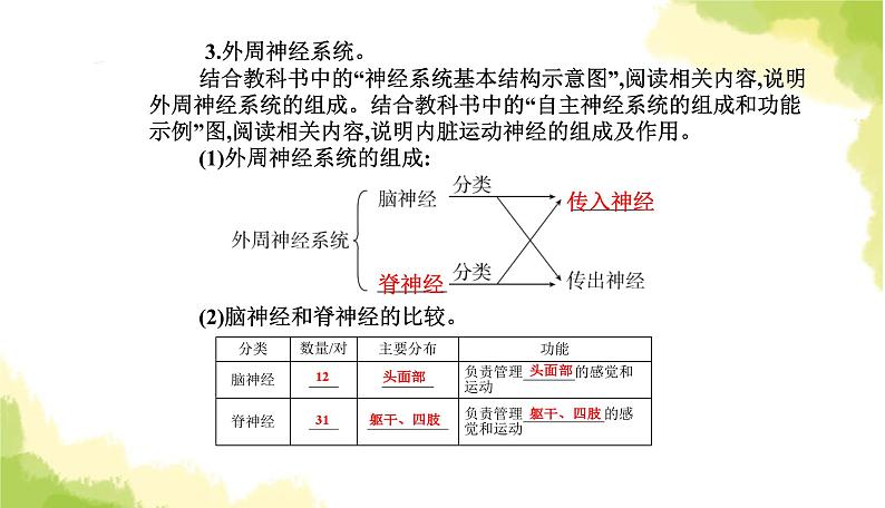 人教版高中生物选择性必修1第2章第1节神经调节的结构基础课件第5页