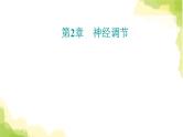 人教版高中生物选择性必修1第2章第2节神经调节的基本方式课件