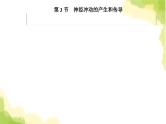 人教版高中生物选择性必修1第2章第3节神经冲动的产生和传导课件