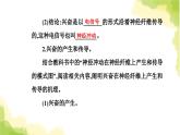 人教版高中生物选择性必修1第2章第3节神经冲动的产生和传导课件