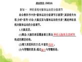 人教版高中生物选择性必修1第2章第4节神经系统的分级调节课件