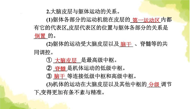 人教版高中生物选择性必修1第2章第4节神经系统的分级调节课件04