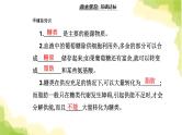 人教版高中生物选择性必修1第3章第2节激素调节的过程课件
