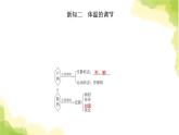 人教版高中生物选择性必修1第3章第3节体液调节与神经调节的关系课件