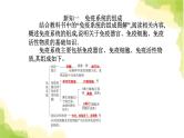 人教版高中生物选择性必修1第4章第1节免疫系统的组成和功能课件