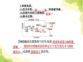 人教版高中生物选择性必修1第4章第2节特异性免疫课件