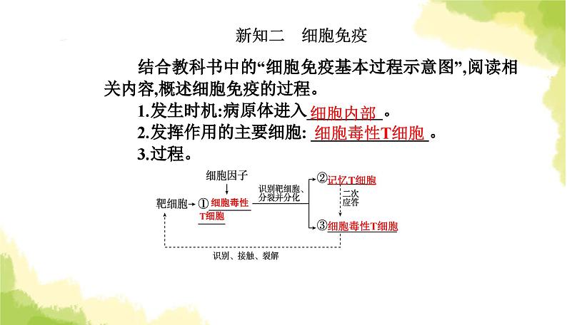 人教版高中生物选择性必修1第4章第2节特异性免疫课件07