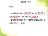 人教版高中生物选择性必修1第4章第3节免疫失调课件