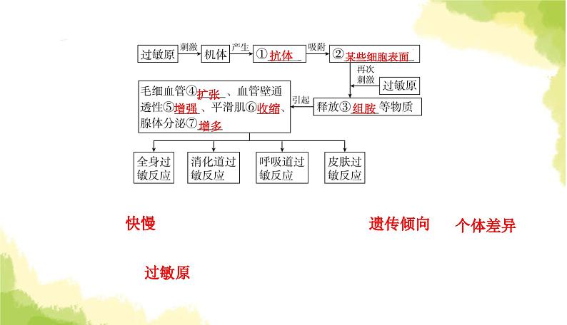 人教版高中生物选择性必修1第4章第3节免疫失调课件第5页