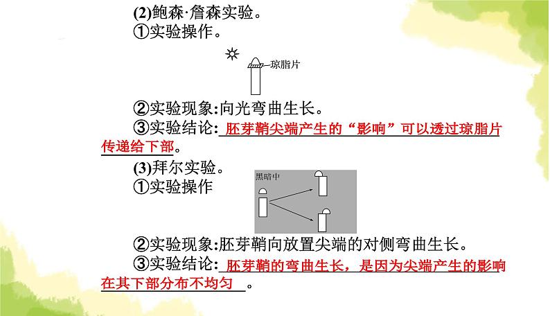 人教版高中生物选择性必修1第5章第1节植物生长素课件第5页