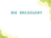人教版高中生物选择性必修1第5章第3节植物生长调节剂的应用课件