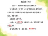 人教版高中生物选择性必修1第5章第3节植物生长调节剂的应用课件