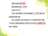 人教版高中生物选择性必修1第5章第3节植物生长调节剂的应用课件