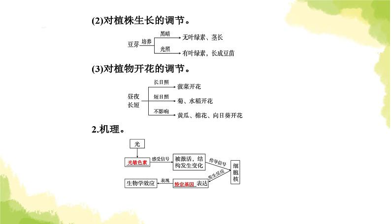 人教版高中生物选择性必修1第5章第4节环境因素参与调节植物的生命活动课件第5页