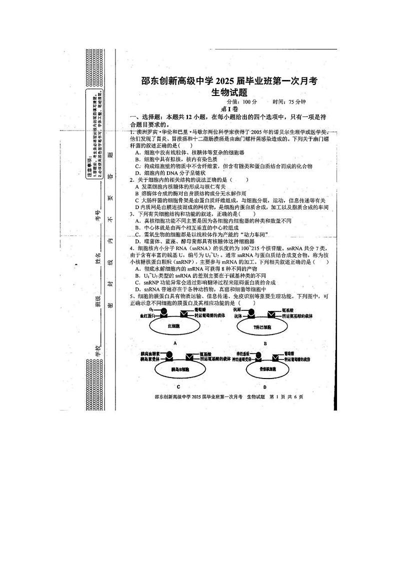 湖南省邵阳市邵东市创新高级中学2024-2025学年高三上学期第一次月考生物试题第1页