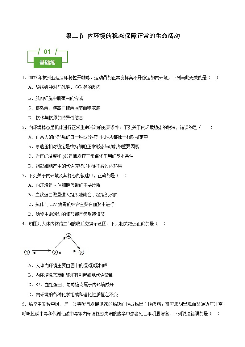 浙教版2019高二生物选择性必修1  1.2内环境的稳态保障正常的生命活动 分层练习01