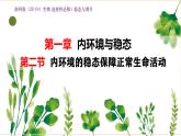 浙教版2019高二生物选择性必修1  1.2内环境的稳态保障正常生命活动 课件