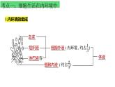 浙教版2019高二生物选择性必修1  第一章内环境与稳态 章末复习课件