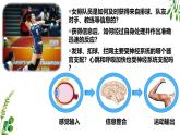 浙教版2019高二生物选择性必修1  2.1神经系统是神经调节的结构基础 课件