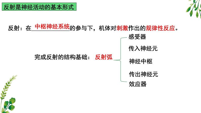 浙教版2019高二生物选择性必修1  2.3人体通过神经调节对刺激做出反应 课件第4页