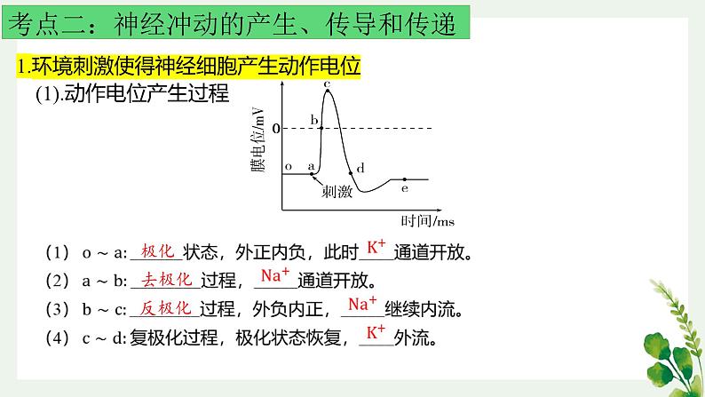 浙教版2019高二生物选择性必修1  第二章神经调节 章末复习课件04